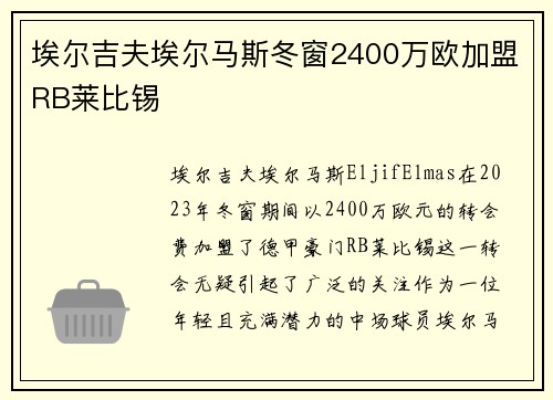 埃尔吉夫埃尔马斯冬窗2400万欧加盟RB莱比锡